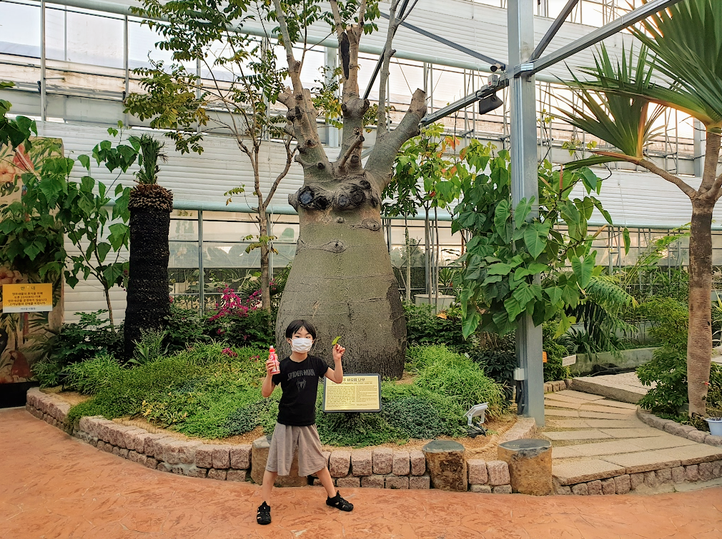 바오밥식물원베이커리카페 후기