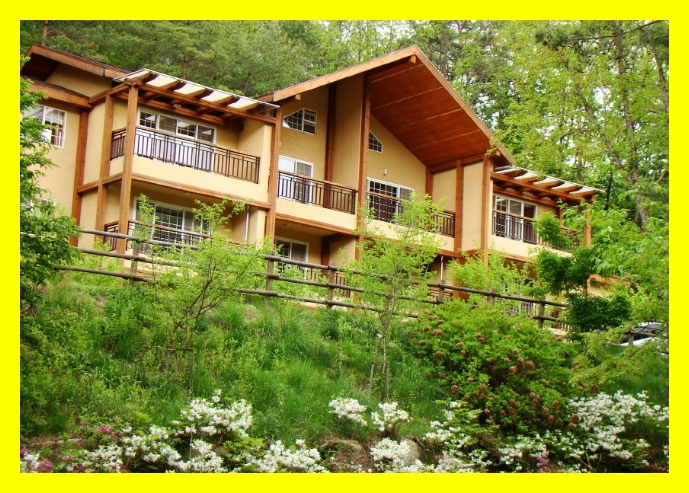 국립휴양림 접수마감시간&amp;#44; 국립자연휴양림 모바일알림&amp;#44; 국립자연휴양림 신청방법 2025&amp;#44; 국립휴양림 산림청예약&amp;#44; 여름휴양림 접속법&amp;#44;