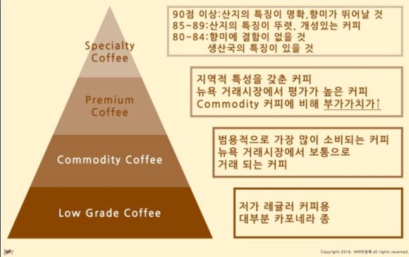 스페셜티 커피