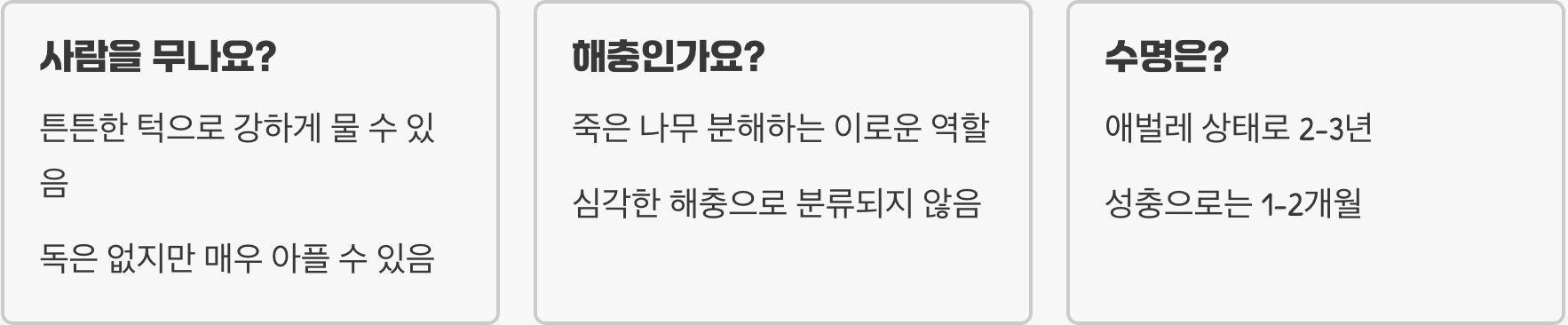 장수하늘소만큼 멋진 버들하늘소, 멸종위기종은 아닐까? (등급과 보호 현황)
