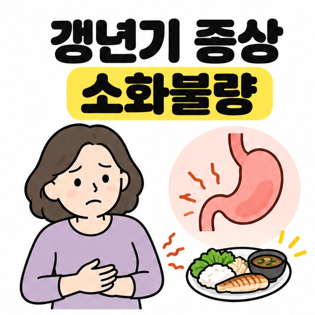 갱년기 증상 소화불량 제목과 위장 불편을 나타내는 복부 아이콘