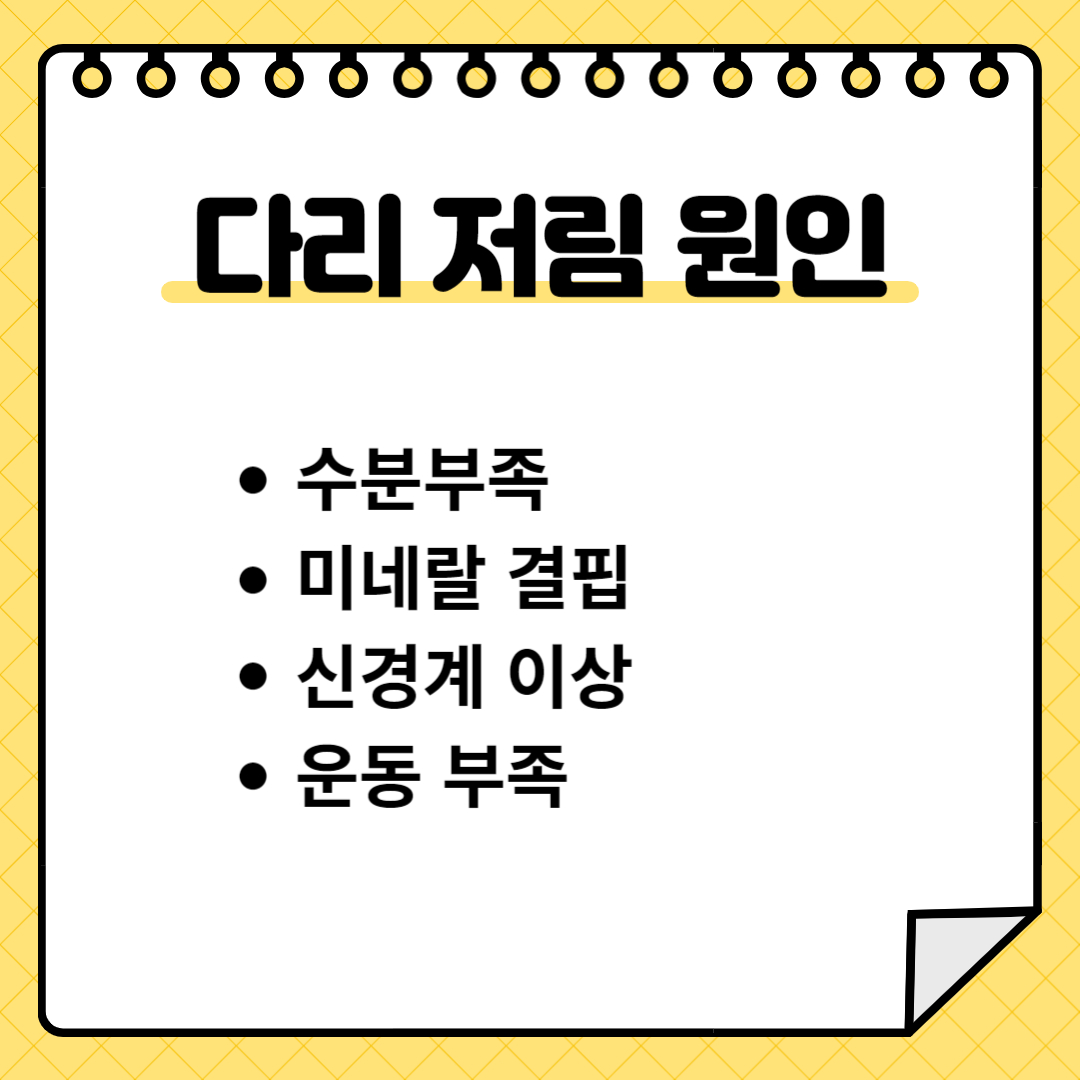 다리 저림 원인