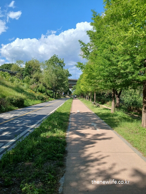 Daytime walking path for belly fat reduction/똥배 없애는 낮 시간 걷기 운동 코스