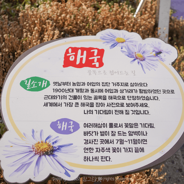 해국