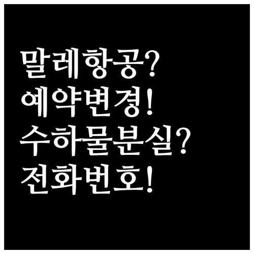 말레이시아 항공 예약 변경 및 수하물..
