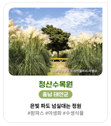 가을&amp;#44; 가을꽃 여행지 추천