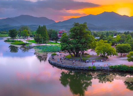 두물머리 (경기)에서 반려동물과 함께 하는 여행루트 보러가기