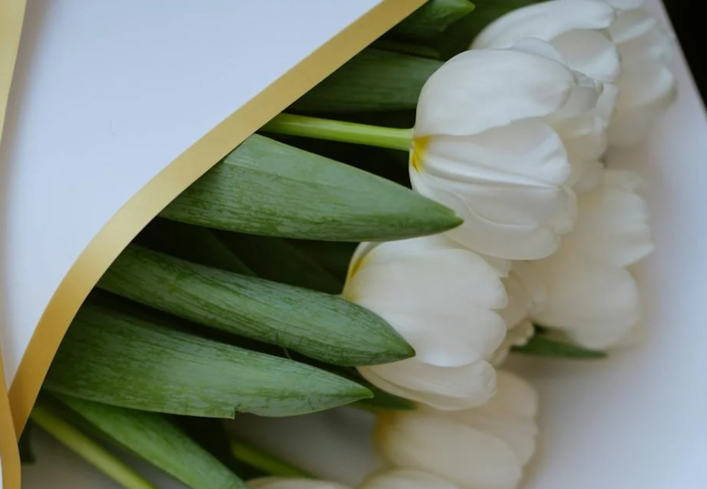 비 오는날 꽃 선물