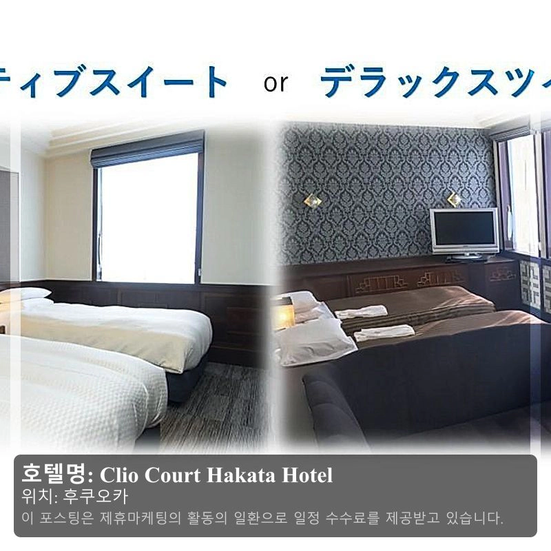 Clio Court Hakata Hotel_1