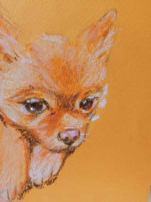 강아지 그리는 순서