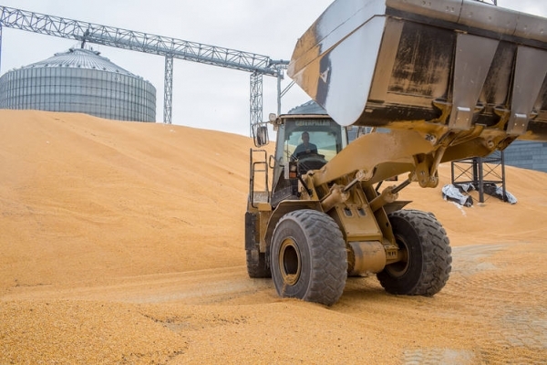 세계 식량 가격 10개월째 내림세