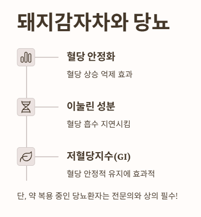 돼지감자차와 당뇨