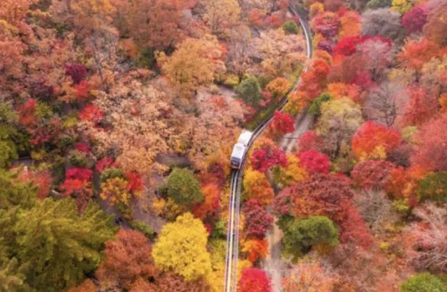 화담숲 예약 팁 & 피크 시즌 방문 요령 총정리