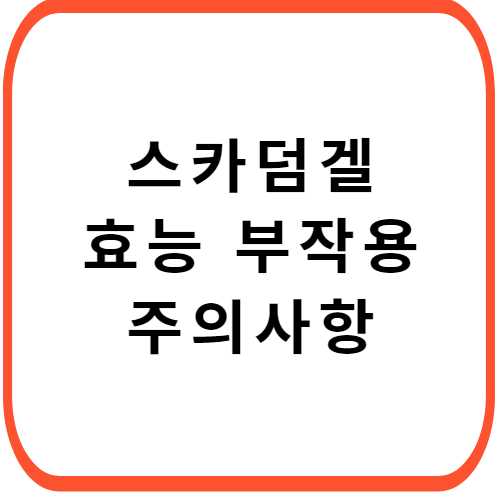 스카덤겔-가격-성분-효능-부작용-썸네일