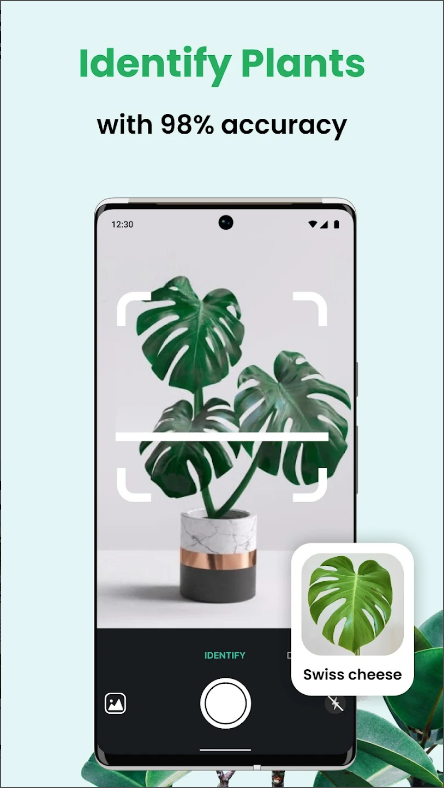 식물 이름 찾기 어플(PlantCam), AI 식물 식별, 꽃, 나무 인식 하기