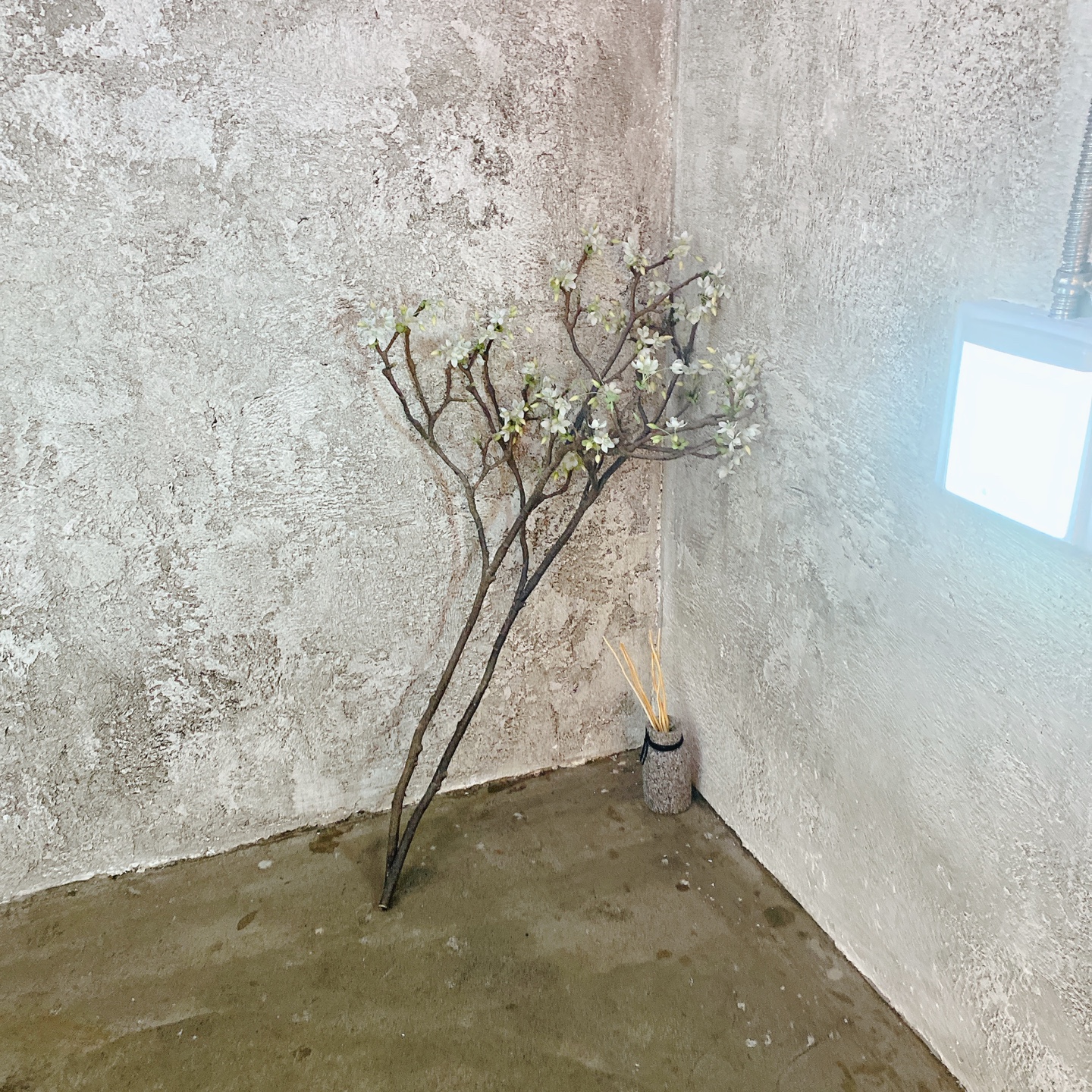 제주 한마음 근린공원 브런치 카페 데미다 제주도민 제주공항