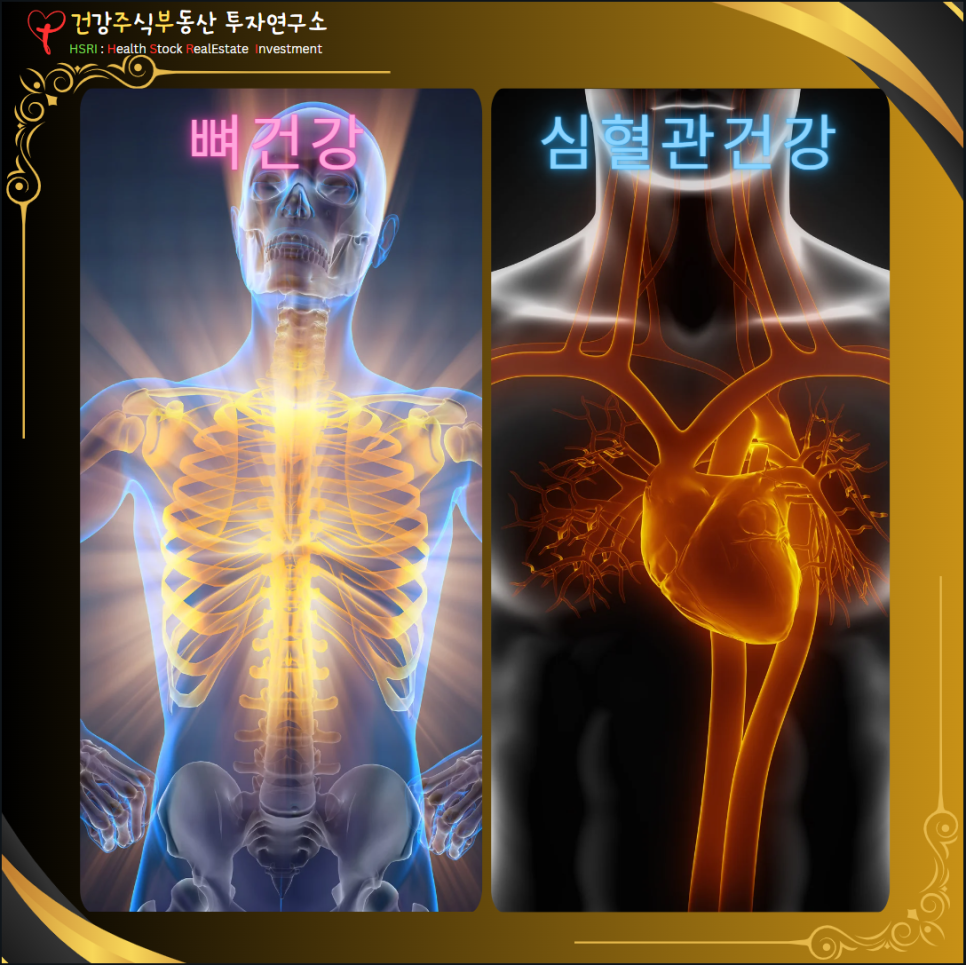 당신의 뼈 건강과 심혈관 건강의 파수꾼

(글 그림 : 건주부, 그림 출처 : Canva)