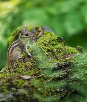 화담숲 테마별 사진