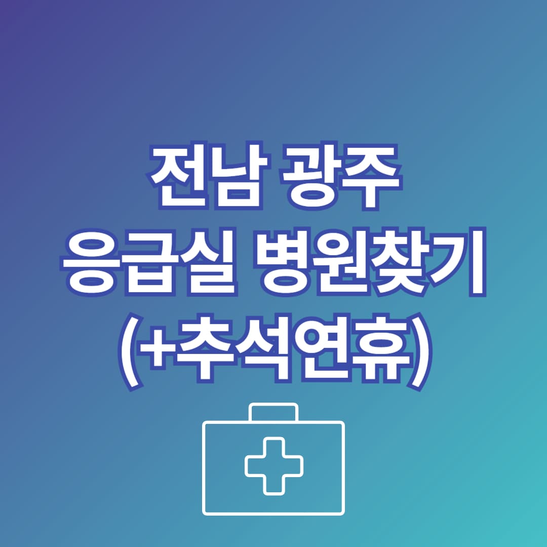 전남 광주 추석에 문 여는 병원 찾는 방법