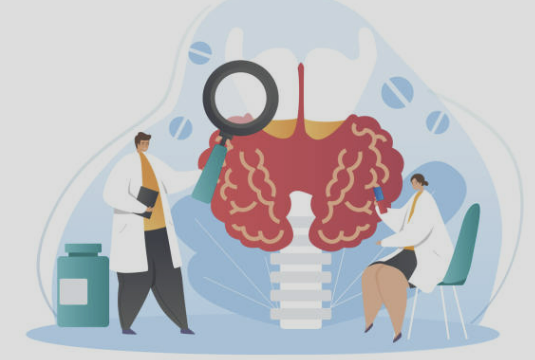 갑상선 기능 저하증 증상 수치 좋은음식 총정리(최신)