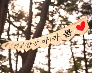 서천 동백꽃 주꾸미 축제_4