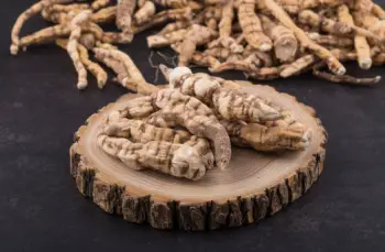 백수오 효능 및 영양성분&amp;#44; 주의점