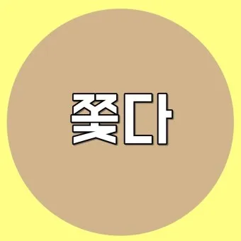 좇다 쫓다 맞춤법 맞는 표현 예문_13