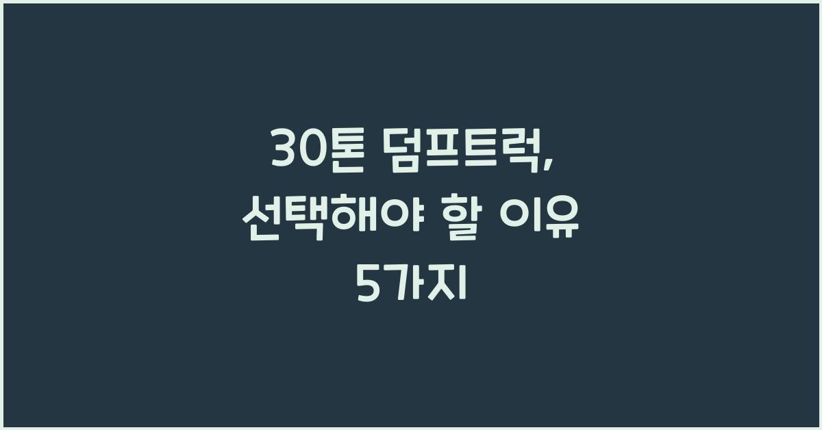 30톤 덤프트럭