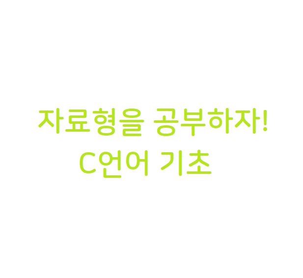 자료형