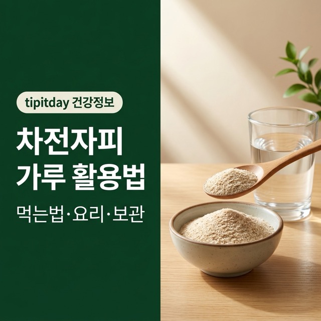 차전자피 가루 분말 한 스푼