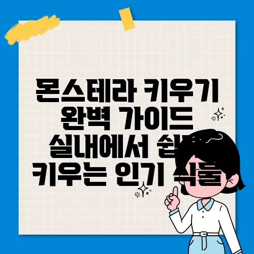 몬스테라 키우기 완벽 가이드 실내에서 쉽게 키우는 인기 식물