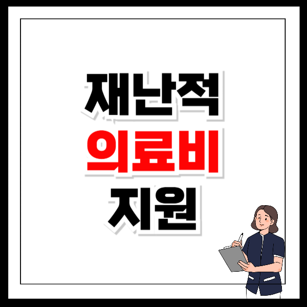 재난적 의료비 지원
