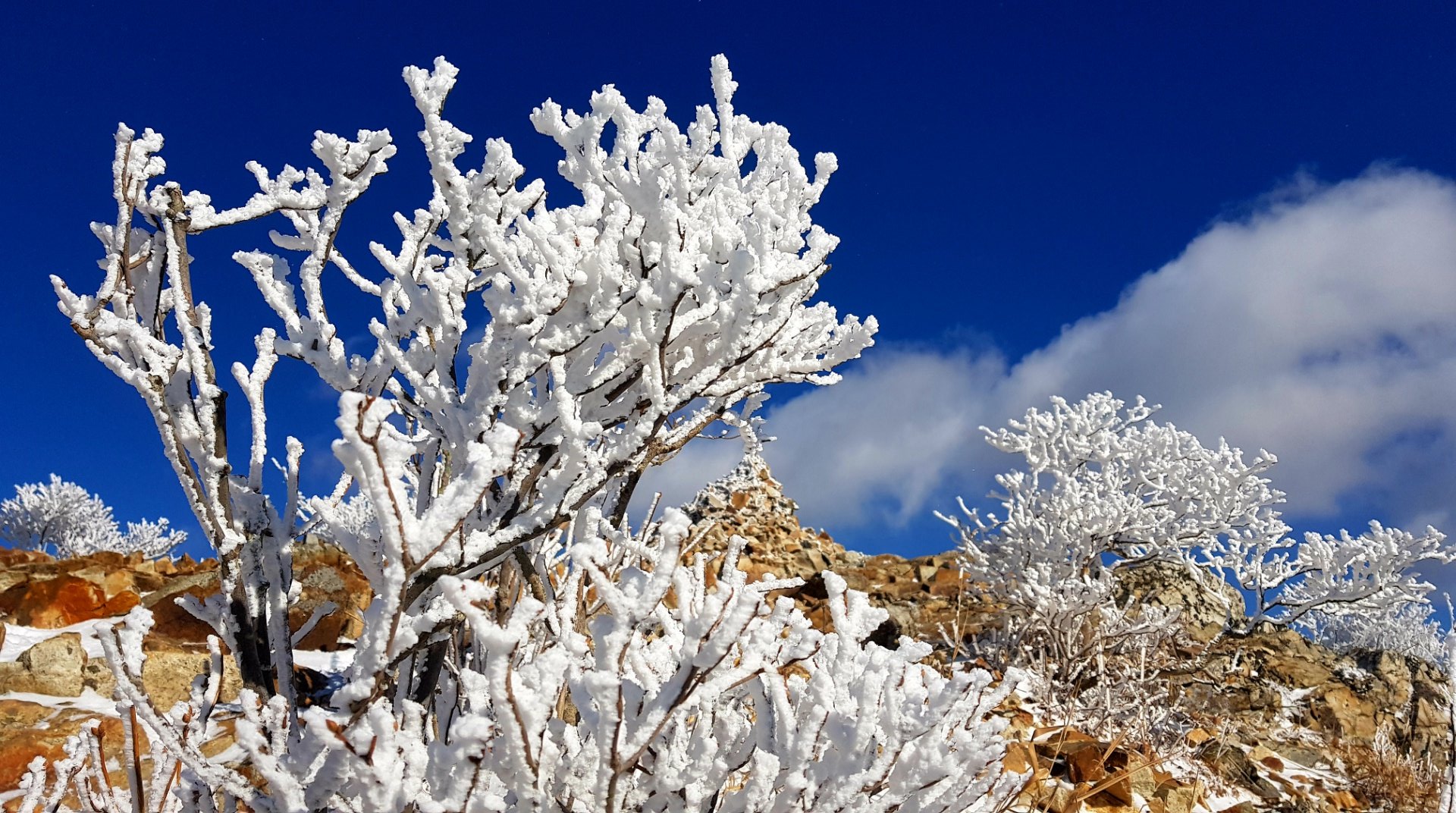 울산 가지산13 설경과 상고대