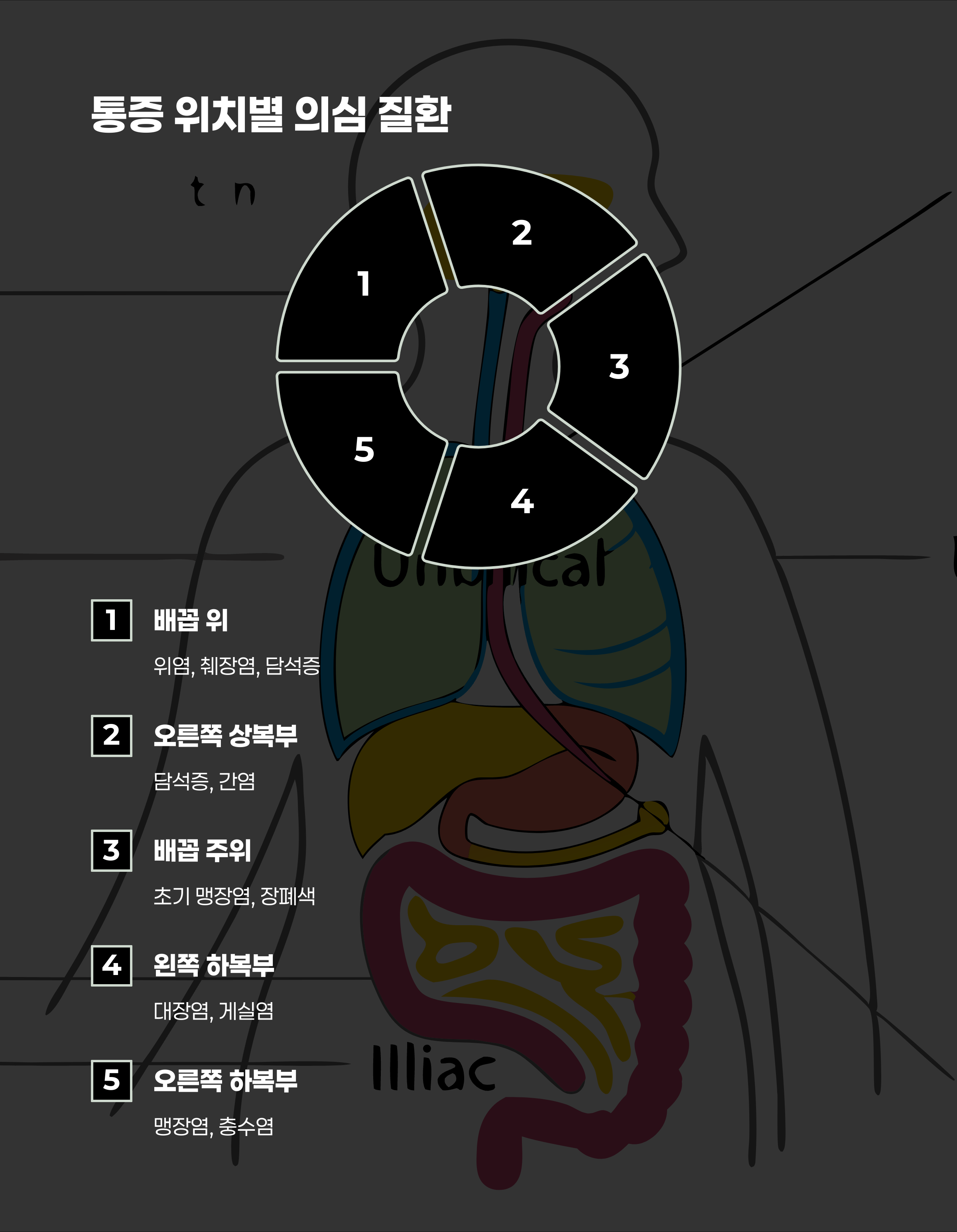 통증 위치에 따른 원인 진단 가이드