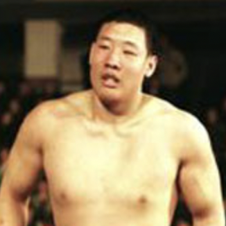 최홍만 씨름 전적