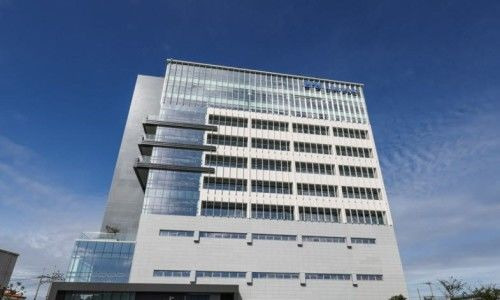 금양 상장폐지 결정과 가처분 신청 총정리! 감사의견 거절 원인과 소액주주 집단소송 법적 쟁점