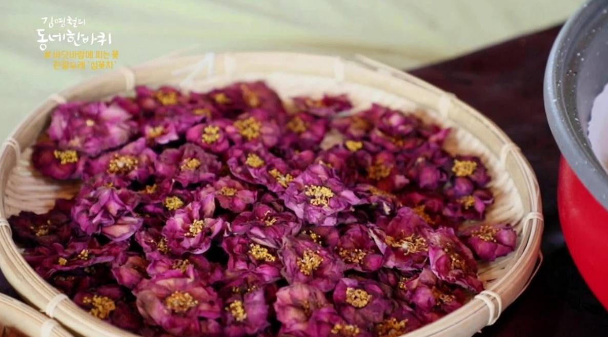 제인꽃차교육농장