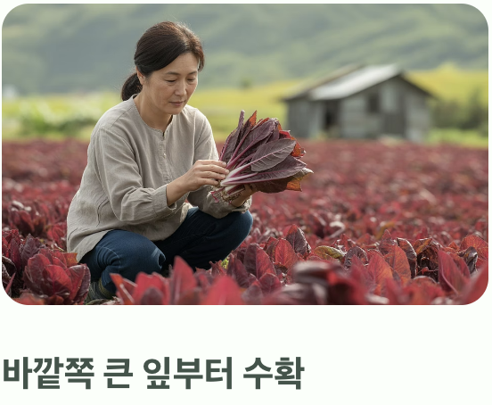 가장 큰 즐거움, 수확의 기쁨