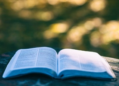 국민연금 인상률