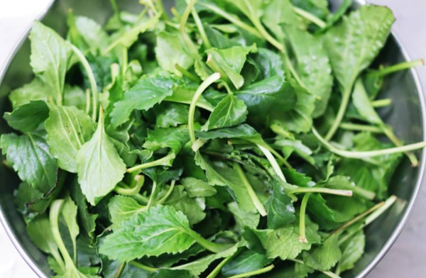 3월제철음식 취나물