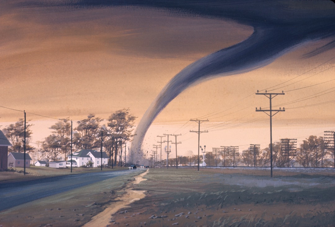Forecast