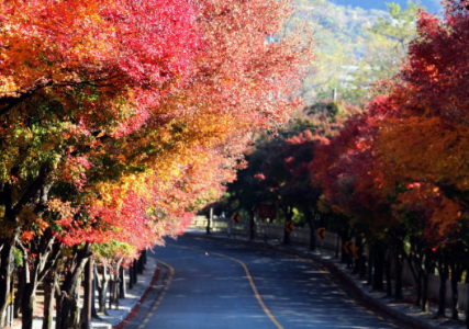 2024 유명한 산 단풍 시기