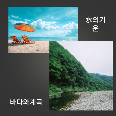 임수계수에서나타나는질병