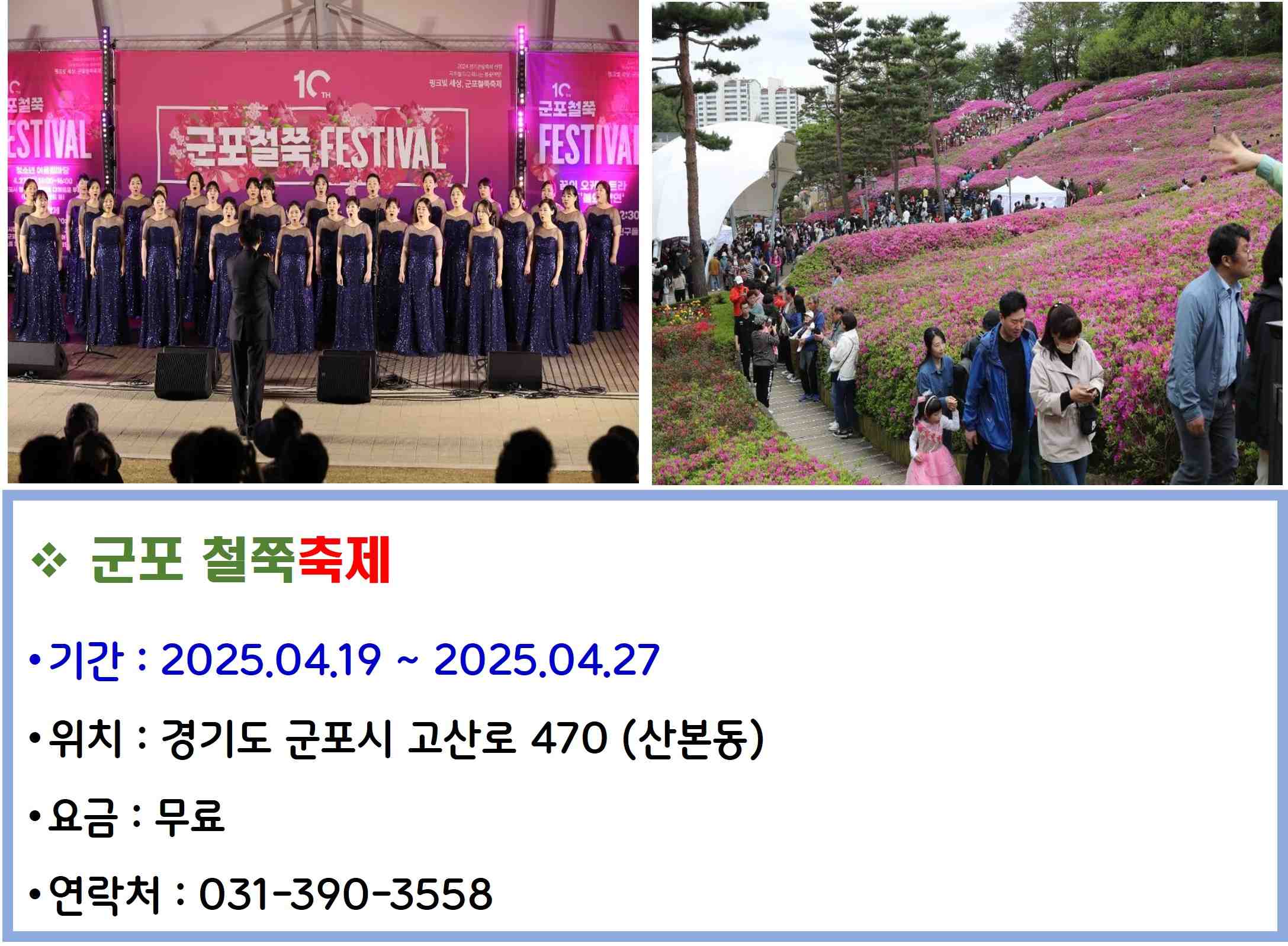 군포 철쭉축제