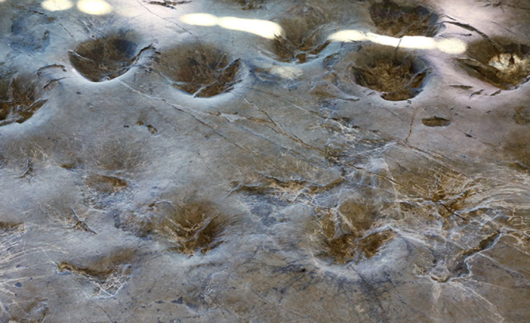 해남 공룡박물관