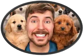 미스터비스트 메인 이미지