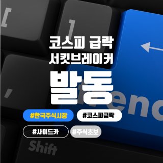 서킷 브레이커 뜻 &amp;#124; 코스피 8% 폭락 &amp;#124; 주식시장 일시 중단
