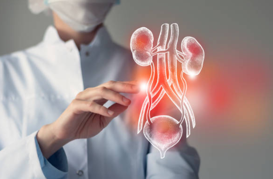 만성 신부전과 관련된 사진