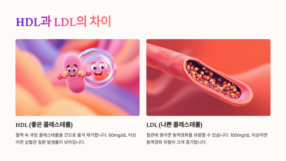 콜레스테롤, 제대로 알아보자