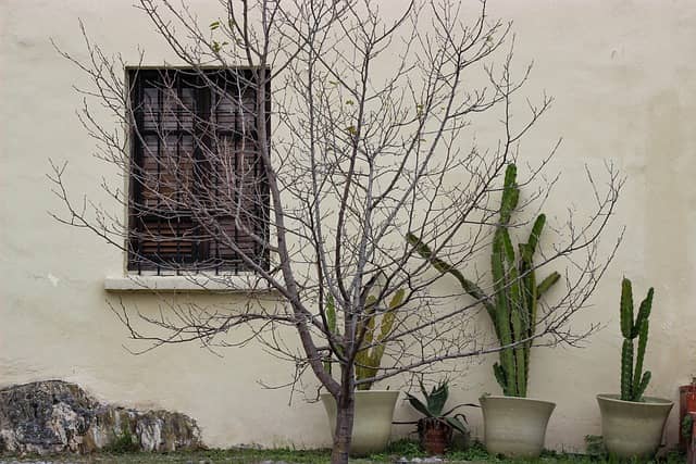 디지털 미니멀리즘과 정신 건강: 디지털 과부하에서 벗어나기